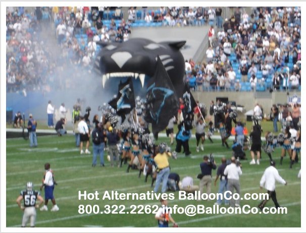 Carolina Panthers Football Tunnel on Field with Cheerleaders